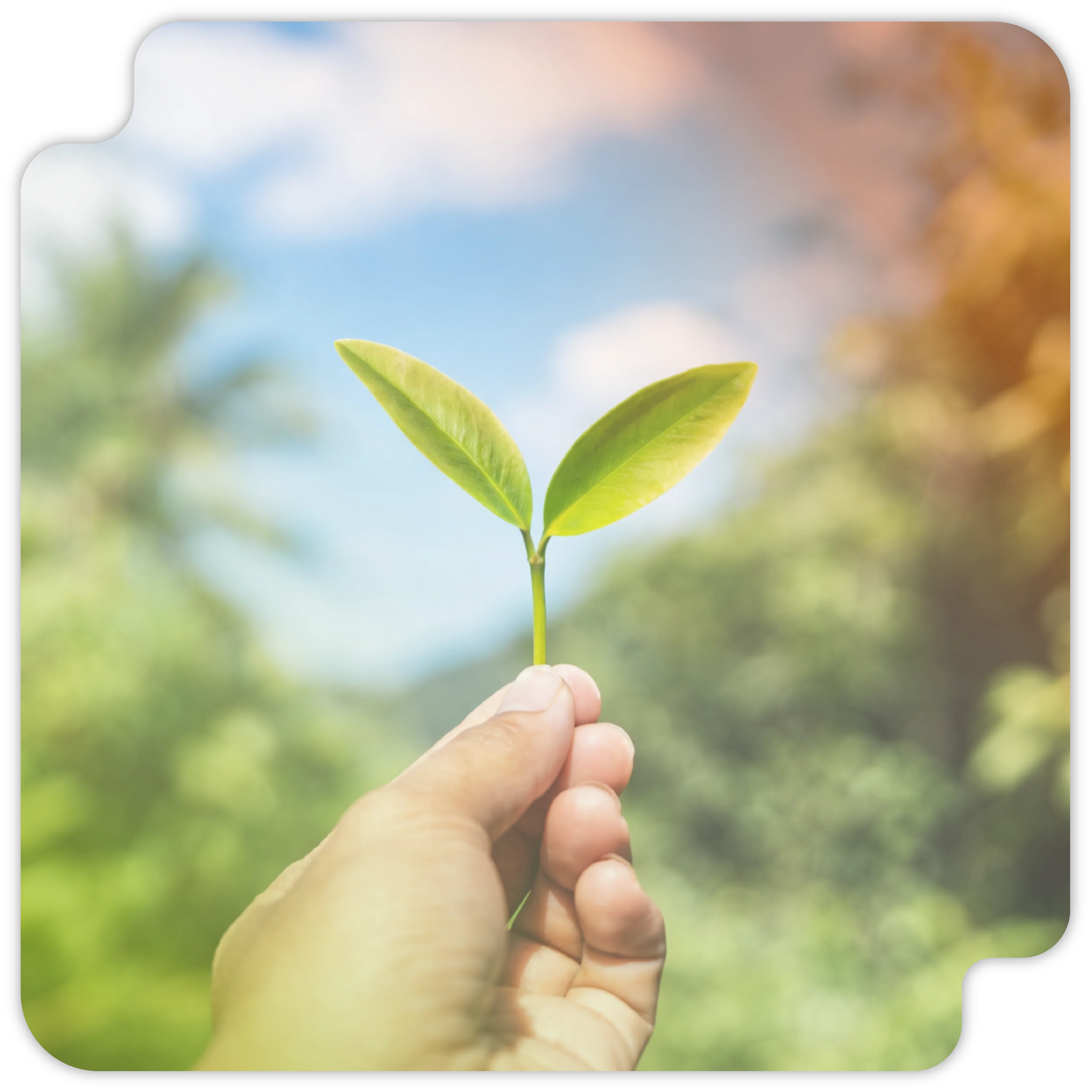 Compromiso ambiental Publimpacto