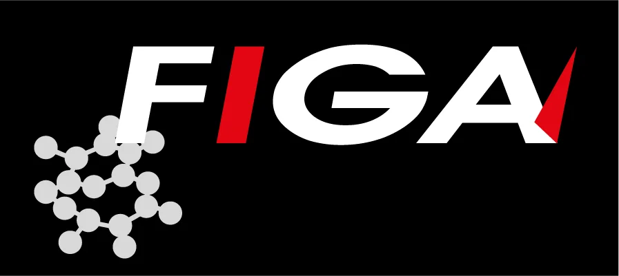 Figa